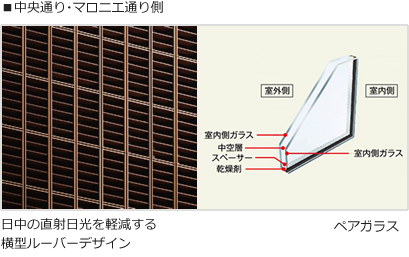 中央通り・マロニエ通り側